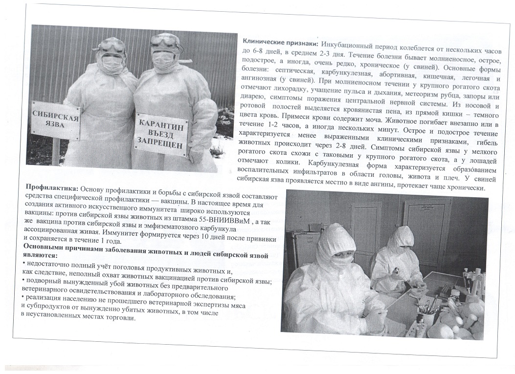 листовка сиб.язва.1