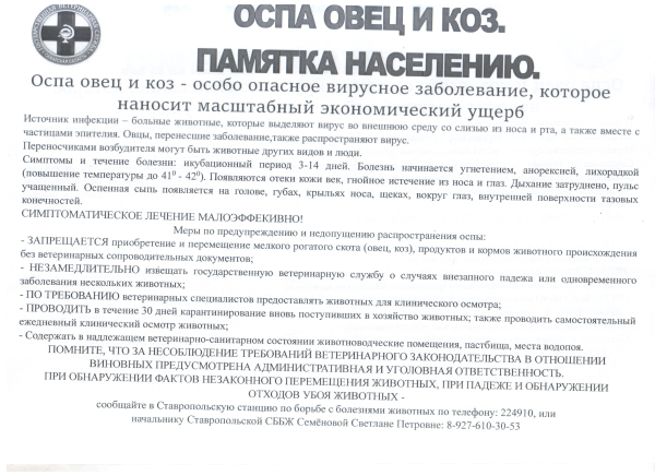 Памятка по заболеванию оспой овец и коз