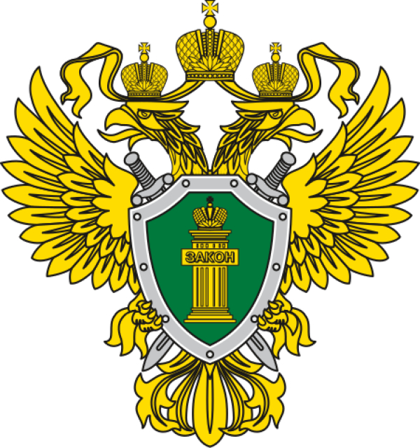 О вопросах противодействия преступности в сфере использования информационно-коммуникационных технологий
